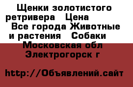 Щенки золотистого ретривера › Цена ­ 15 000 - Все города Животные и растения » Собаки   . Московская обл.,Электрогорск г.